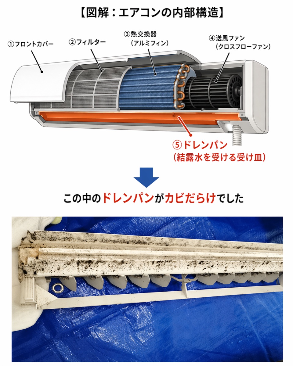 エアコン内部構造の図解とカビだらけのドレンパンの実写真