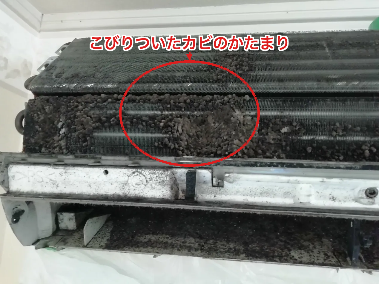 エアコン内部のアルミフィンにこびりついたカビのかたまり